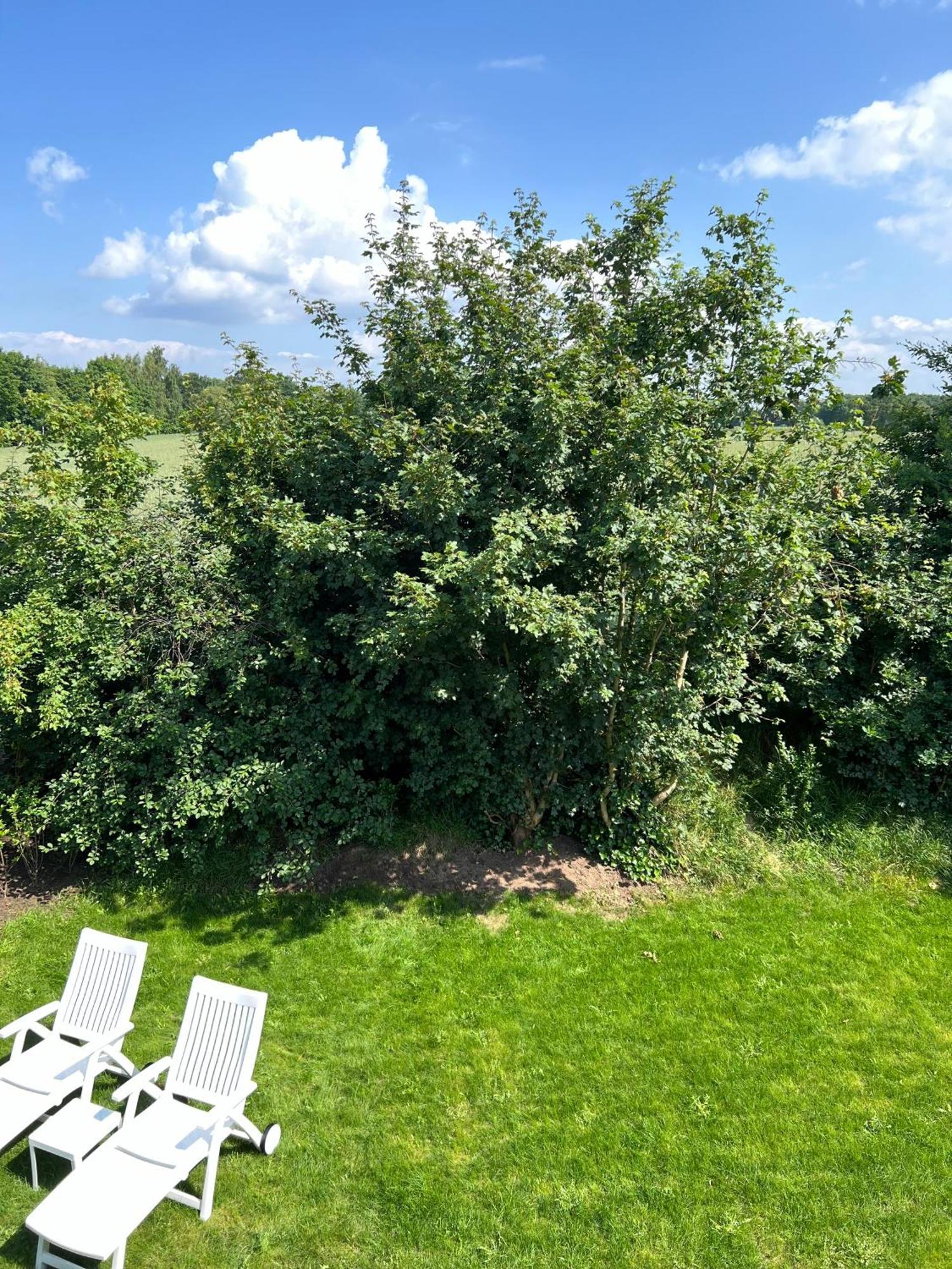 Haus Schoensee Heede Eksteriør bilde
